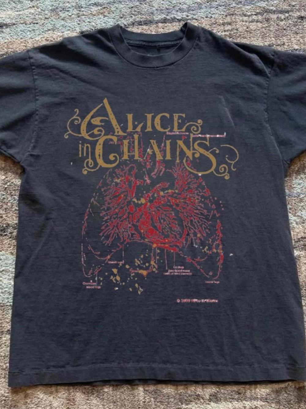 Gildan Black Alice In Chains Graphic Tee with Gold Logo and Red Heart Art